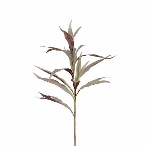 Grevilleakvist Grå 85cm