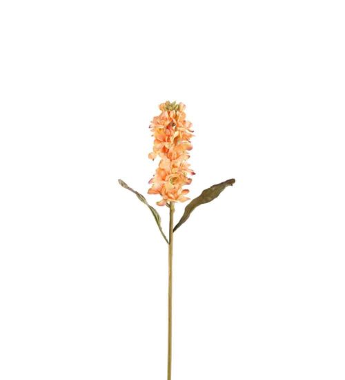 Lövkoja Orange 53cm