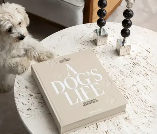 Hund Album - A DOG'S LIFE