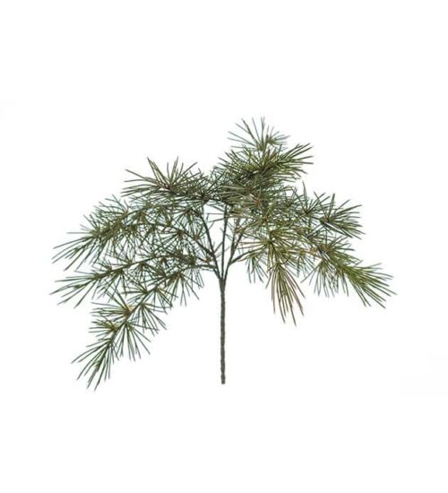 Barrkvist 50cm