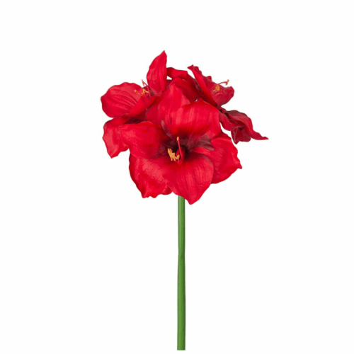 Amaryllis röd 65cm