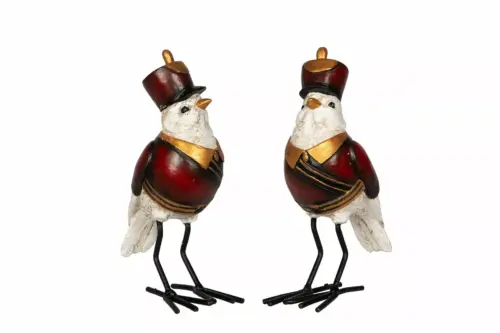 Fågel Kapten