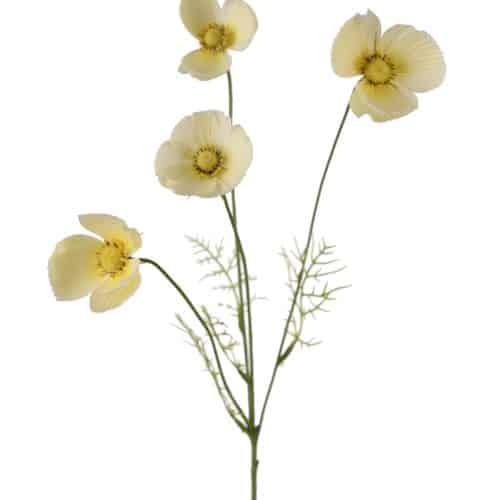 Rosenskära Gul 60cm