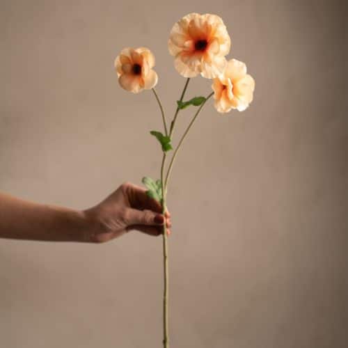 Japansk Ranuncel Persika 62cm
