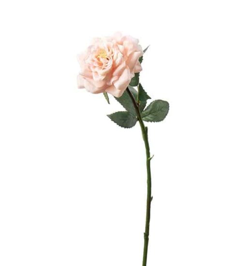 Ros 41 cm