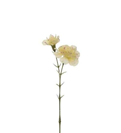 Nejlika 31 cm Gul