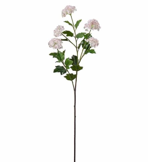 Olvon 96 cm Rosa