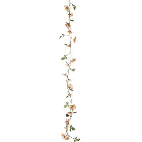 Japansk klätterros girlang aprikos 125cm