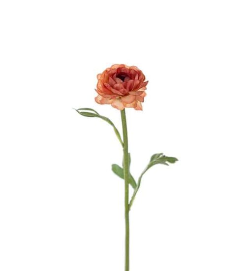 Ranuncel 35cm