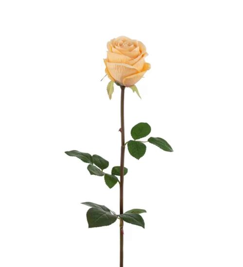 Ros Gul 75cm