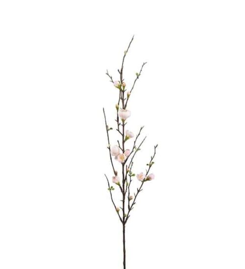 Äppelblom 90 cm