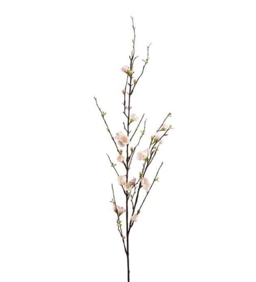 Äppelblom 120 cm