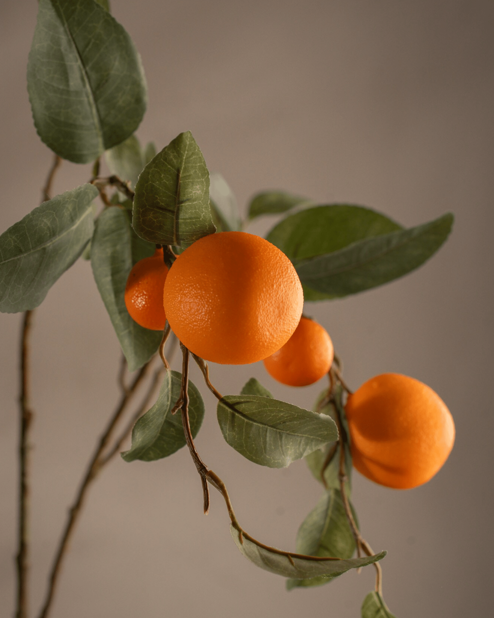 Apelsinkvist Orange 100 cm - Bild 2