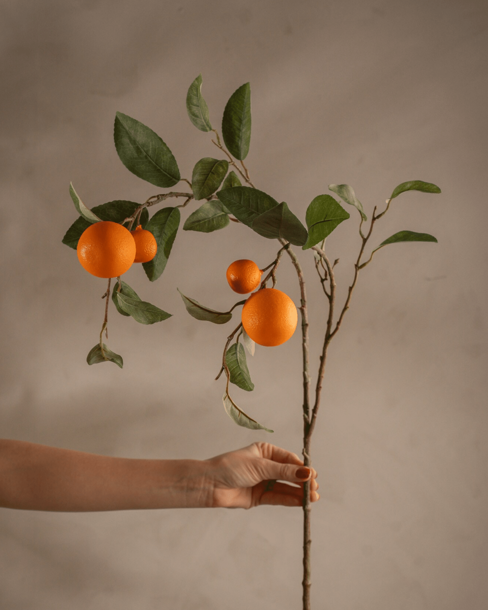Apelsinkvist Orange 100 cm - Bild 3