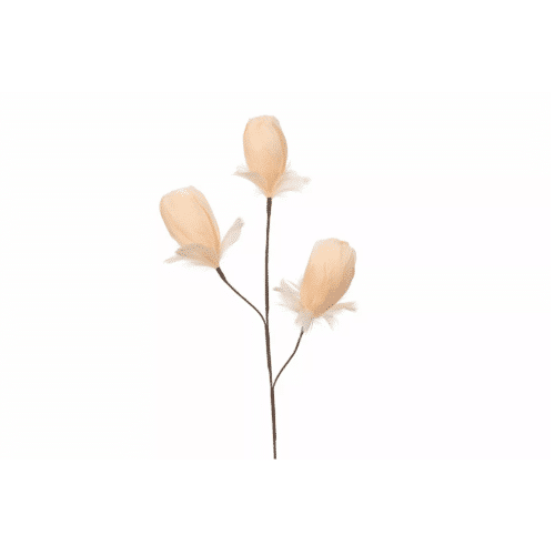 Kvist Fjäderknopp Aprikos