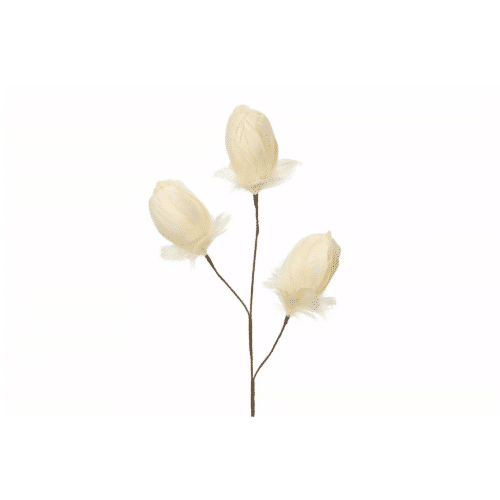 Kvist Fjäderknopp Vanilj