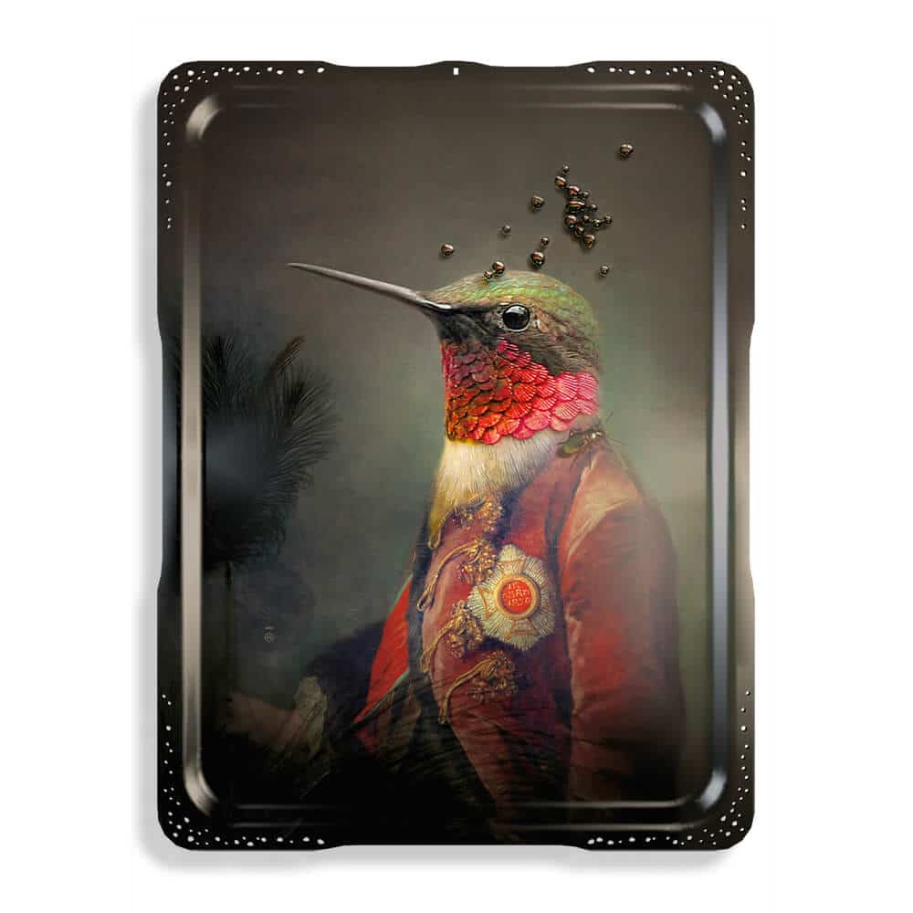 Ibride Bricka Les Majestueux Ambroise Xl