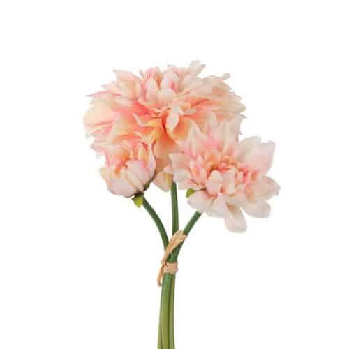 Dahliabunt 28 cm persika