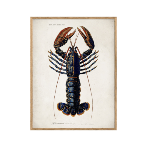 The Dybdahl Company Lobster