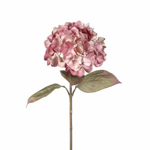 Hortensia 65 cm Rosa