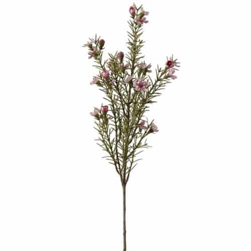 Vaxblomma 60 cm Rosa