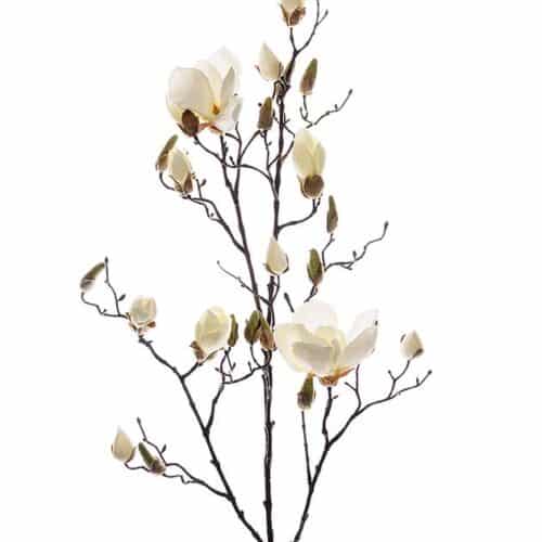 Magnolia 110 cm Vit – Konstväxt