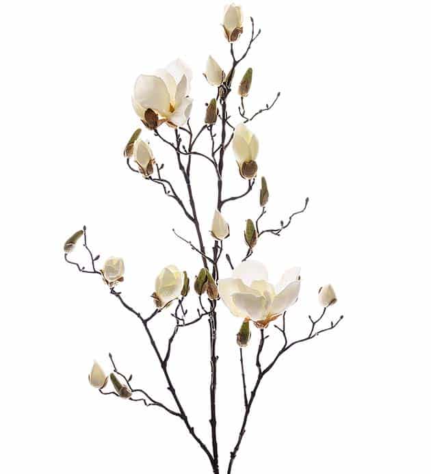 Magnolia 110 cm Vit – Konstväxt