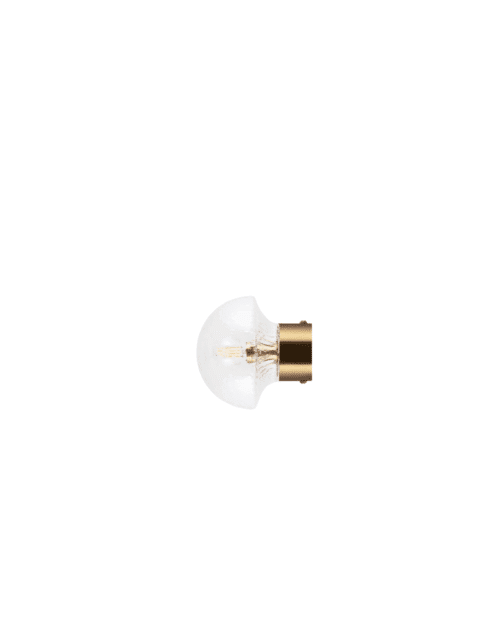 Globen Lighting Vägglampa/Plafond Fungo 16 IP44 – Klar/borstad mässing