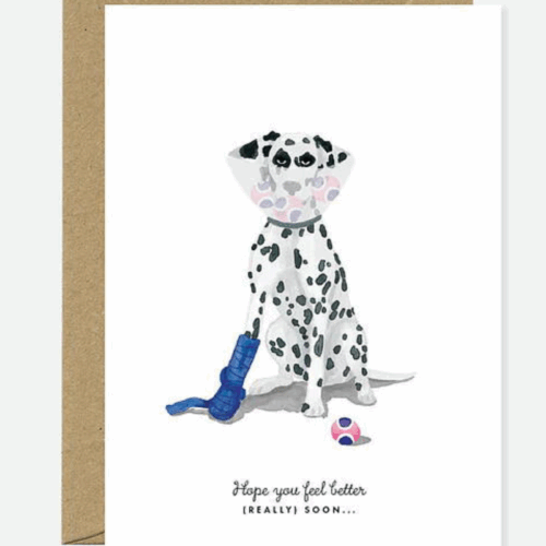 Parlebo Kort Feel Better Dog