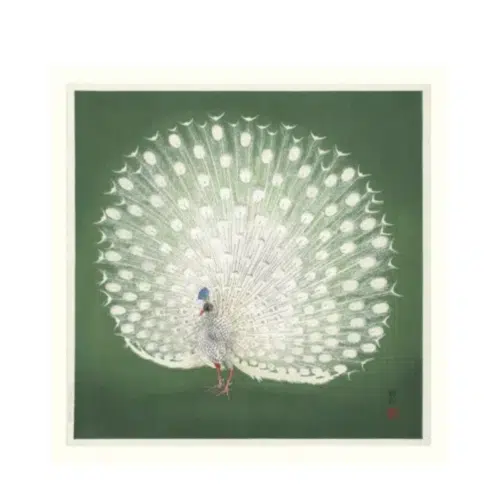 The Dybdahl Company Tavla Peacock on green