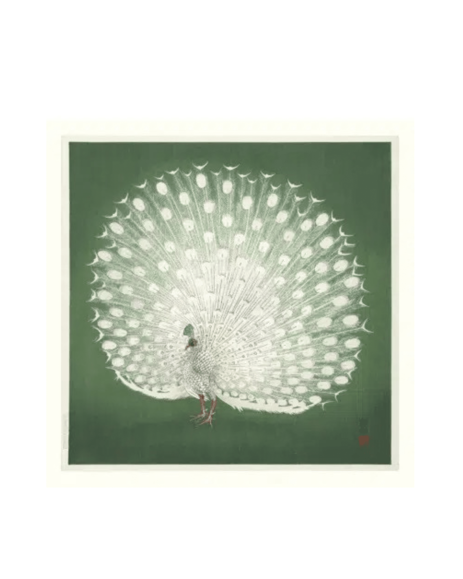 The Dybdahl Company Tavla Peacock on green