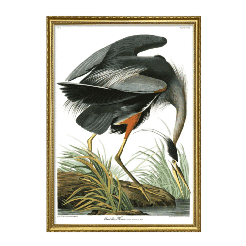 The Dybdahl Company Tavla Great blue heron