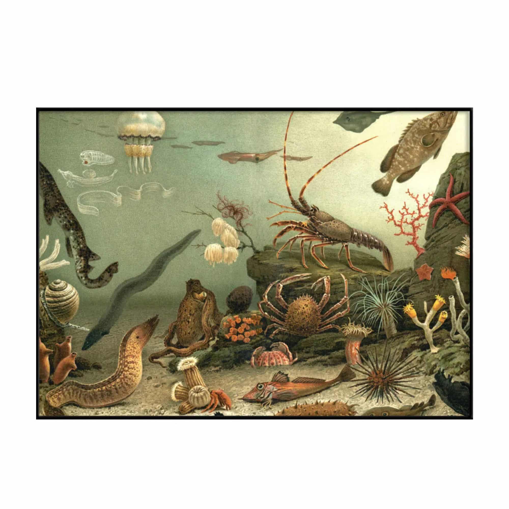 The Dybdahl Company Tavla Aquarium Horizontal