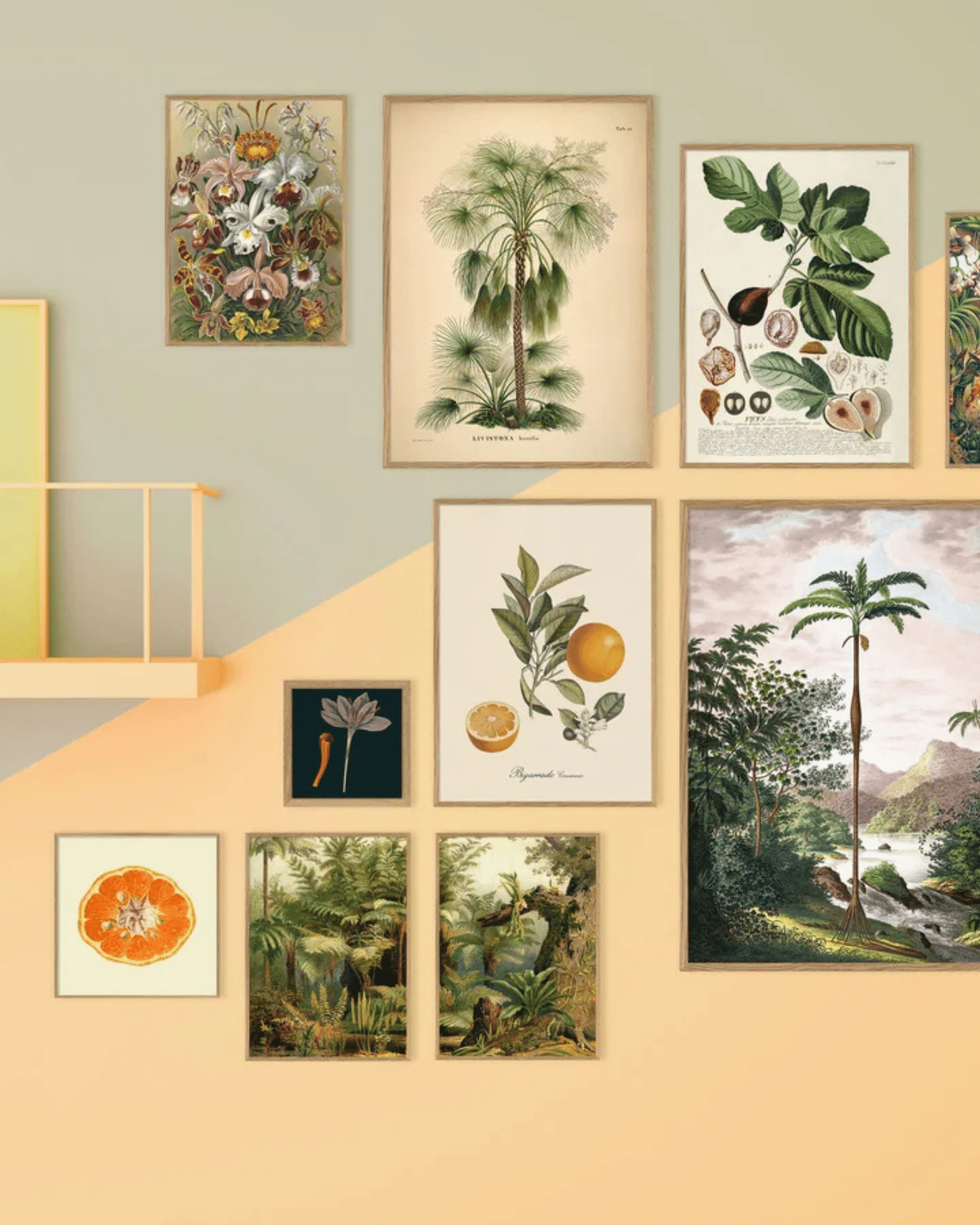 The Dybdahl Tavla Cypripedium - Bild 2