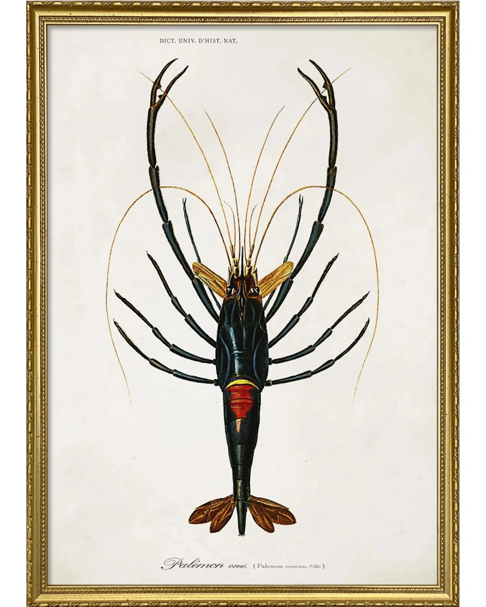 The Dybdahl Company Tavla Crayfish - Bild 4