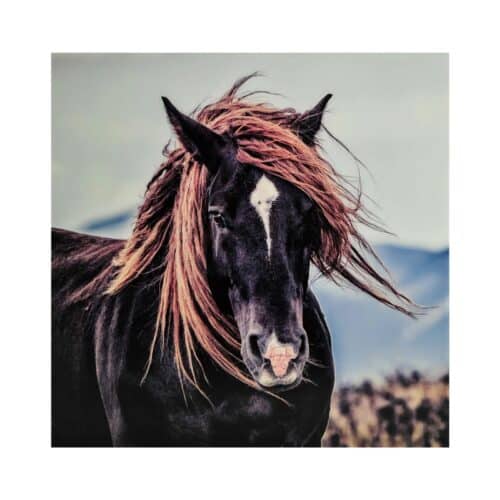 Tavla Häst 110x110cm
