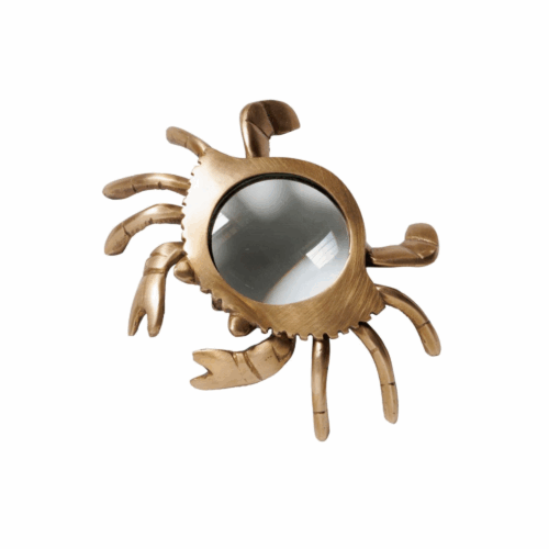 Förstoringsglas krabba