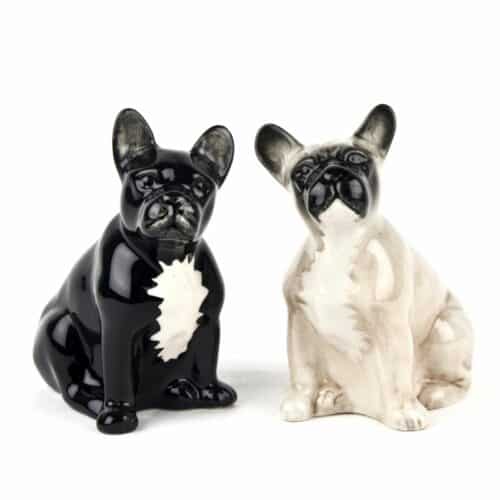 Fransk Bulldog salt och peppar