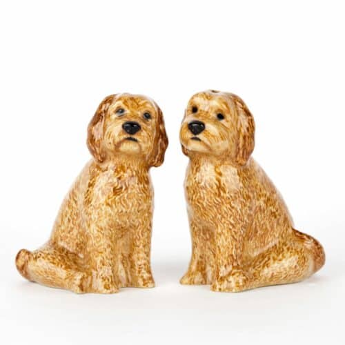 Cockapoo salt och peppar