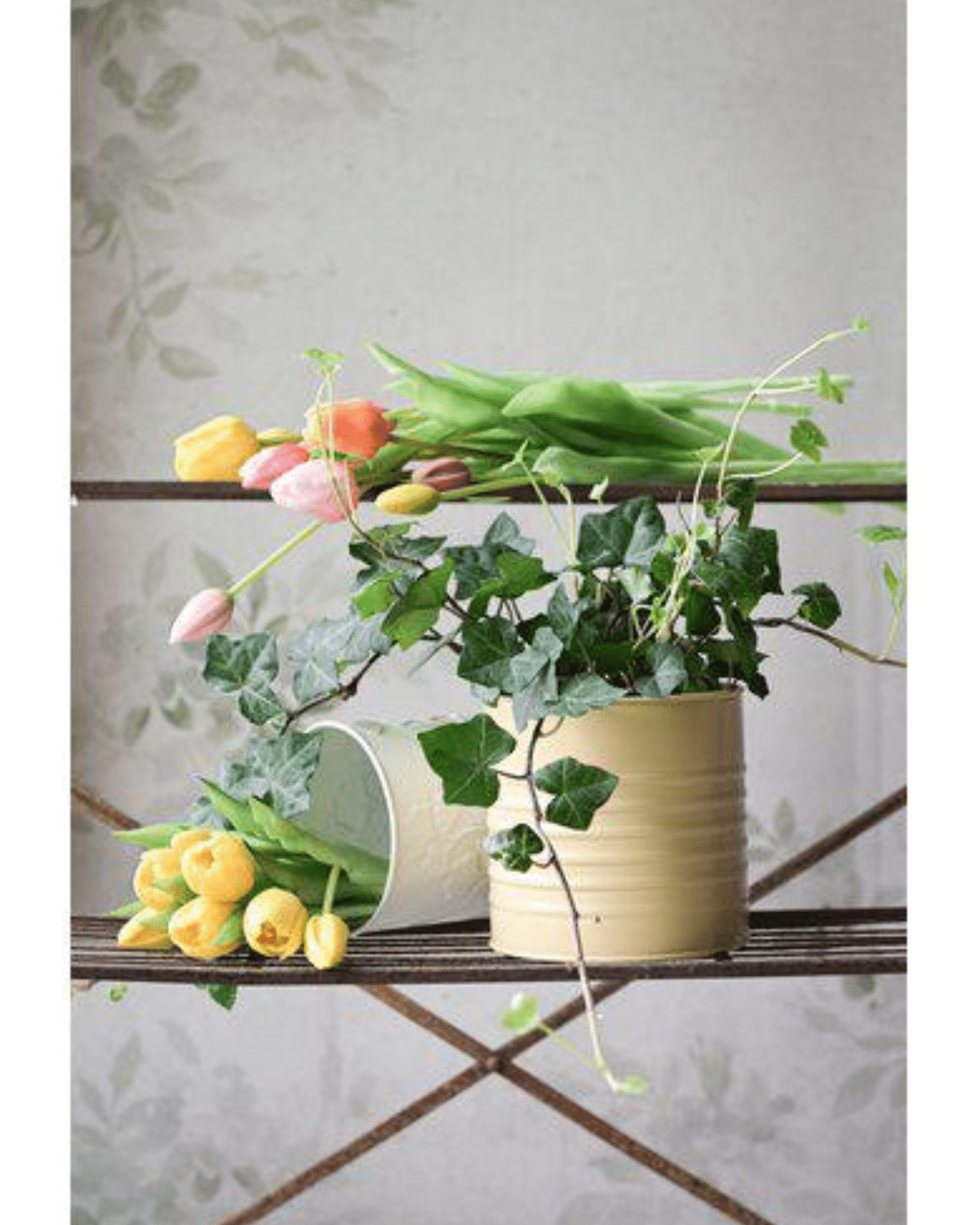 Tulpaner Bunt – 7 st Ljusrosa, 47 cm - Bild 2