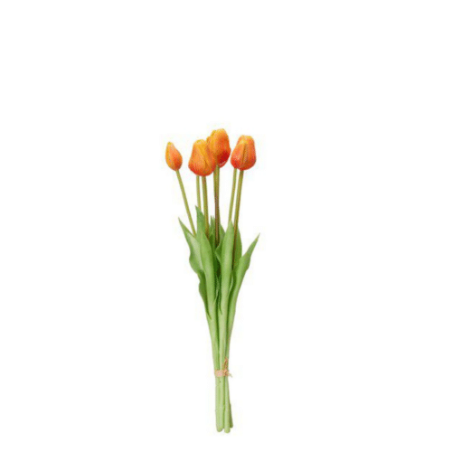 Tulpaner Bunt – 7 st Orange, 47 cm