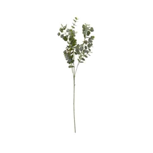 Eucalyptus 103cm