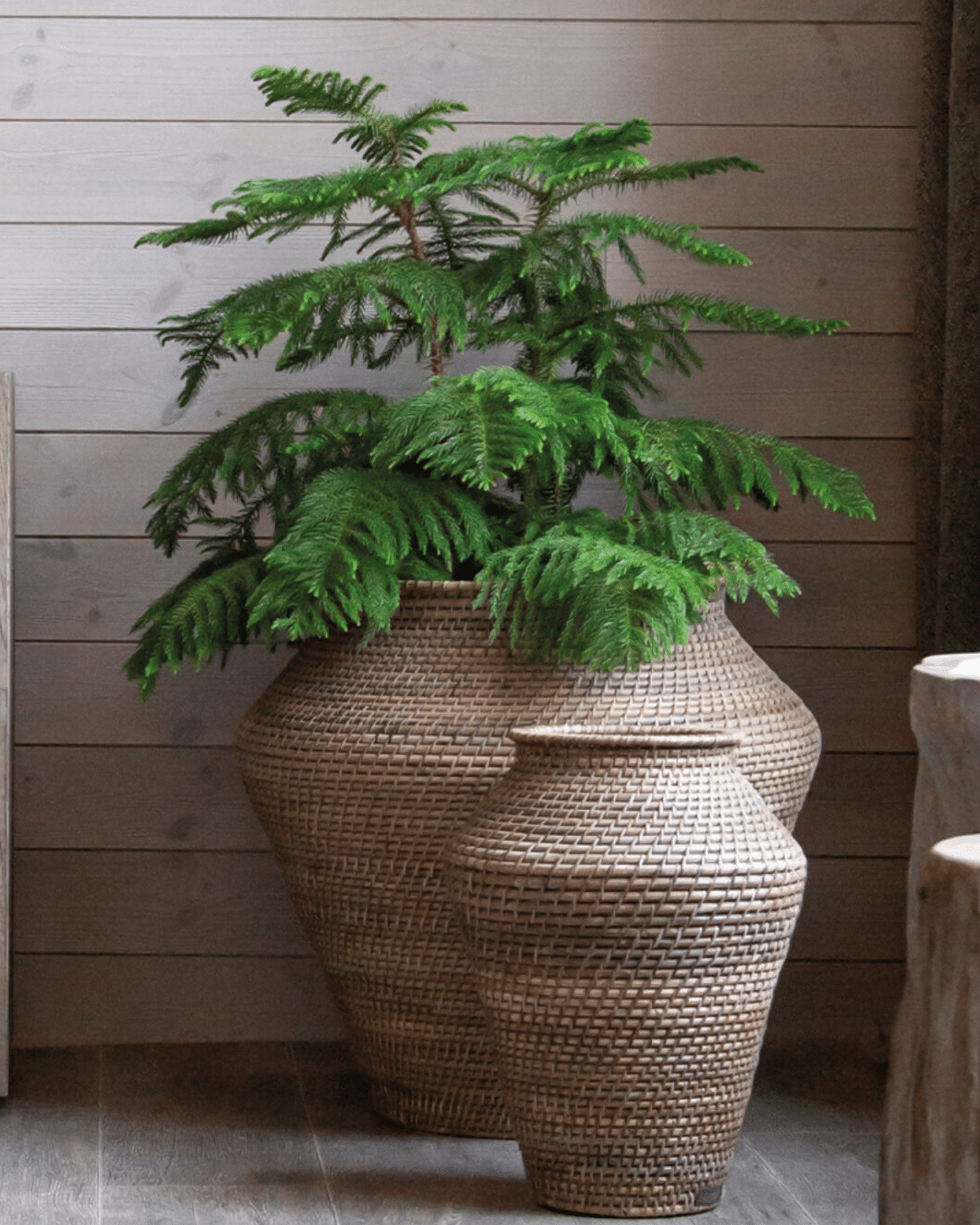 Artwood Urna Amazon Natural antique - Bild 2