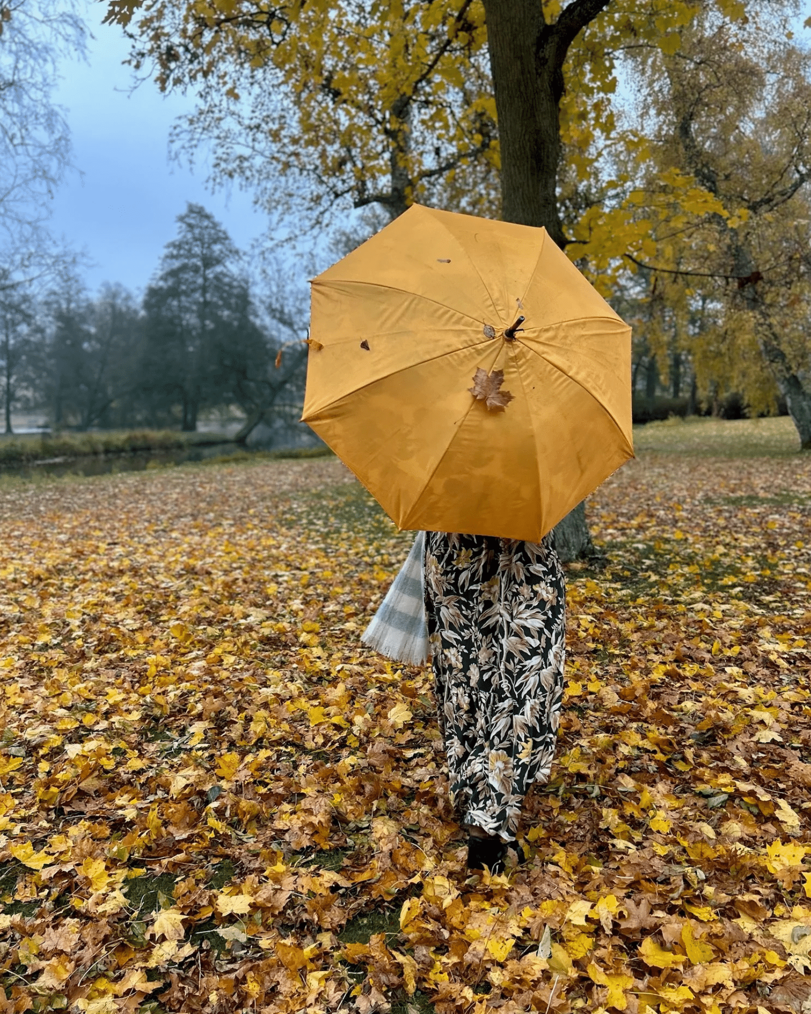 Monchiqe Paraply Sunday med träskaft - Bild 5