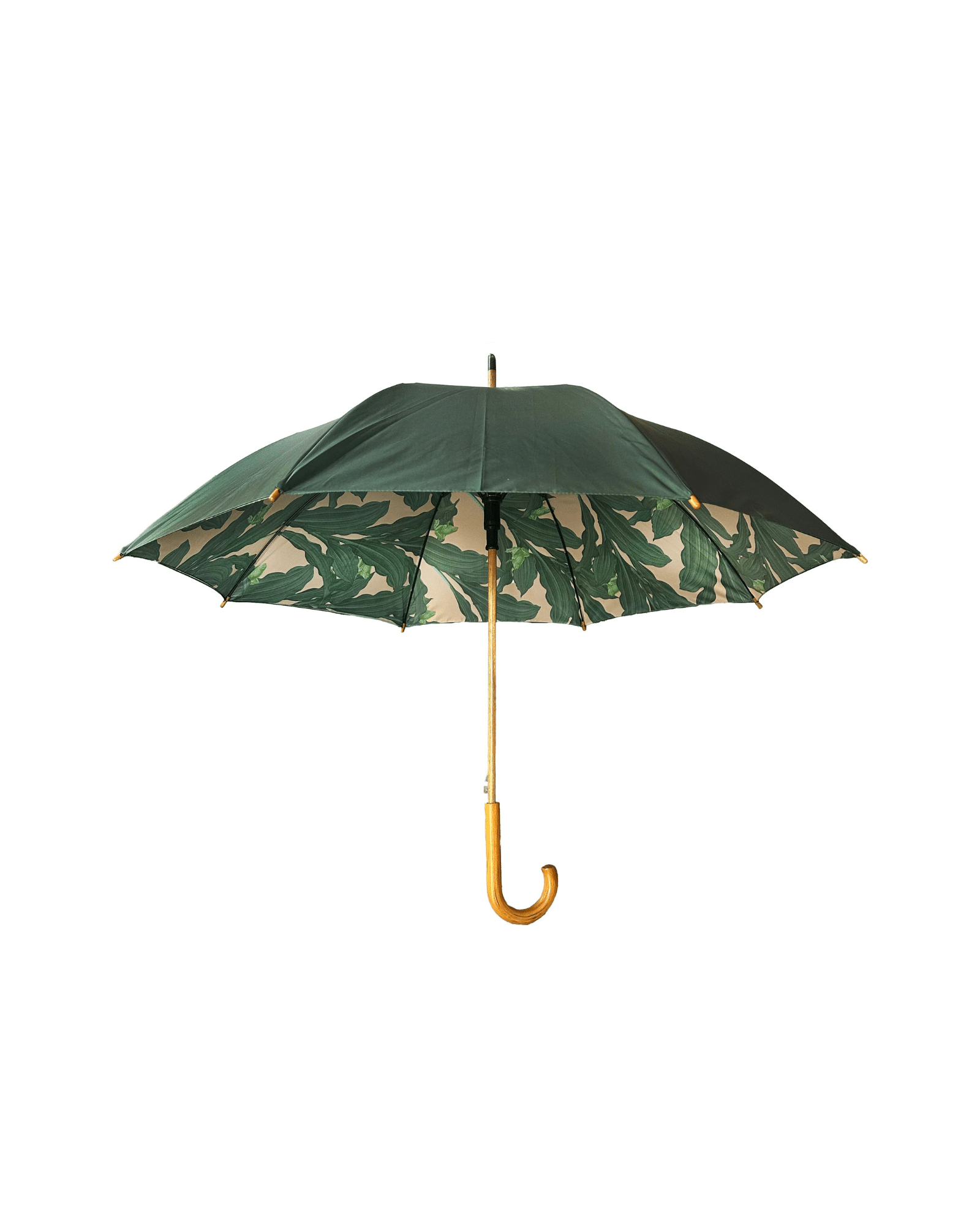 Monchiqe Paraply Kermit med träskaft