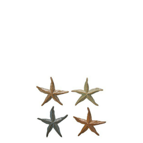 Galia Sjöstjärna mix 1st