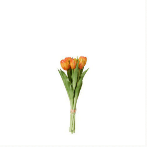 TULPANER Bunt 7-pack orange 31cm