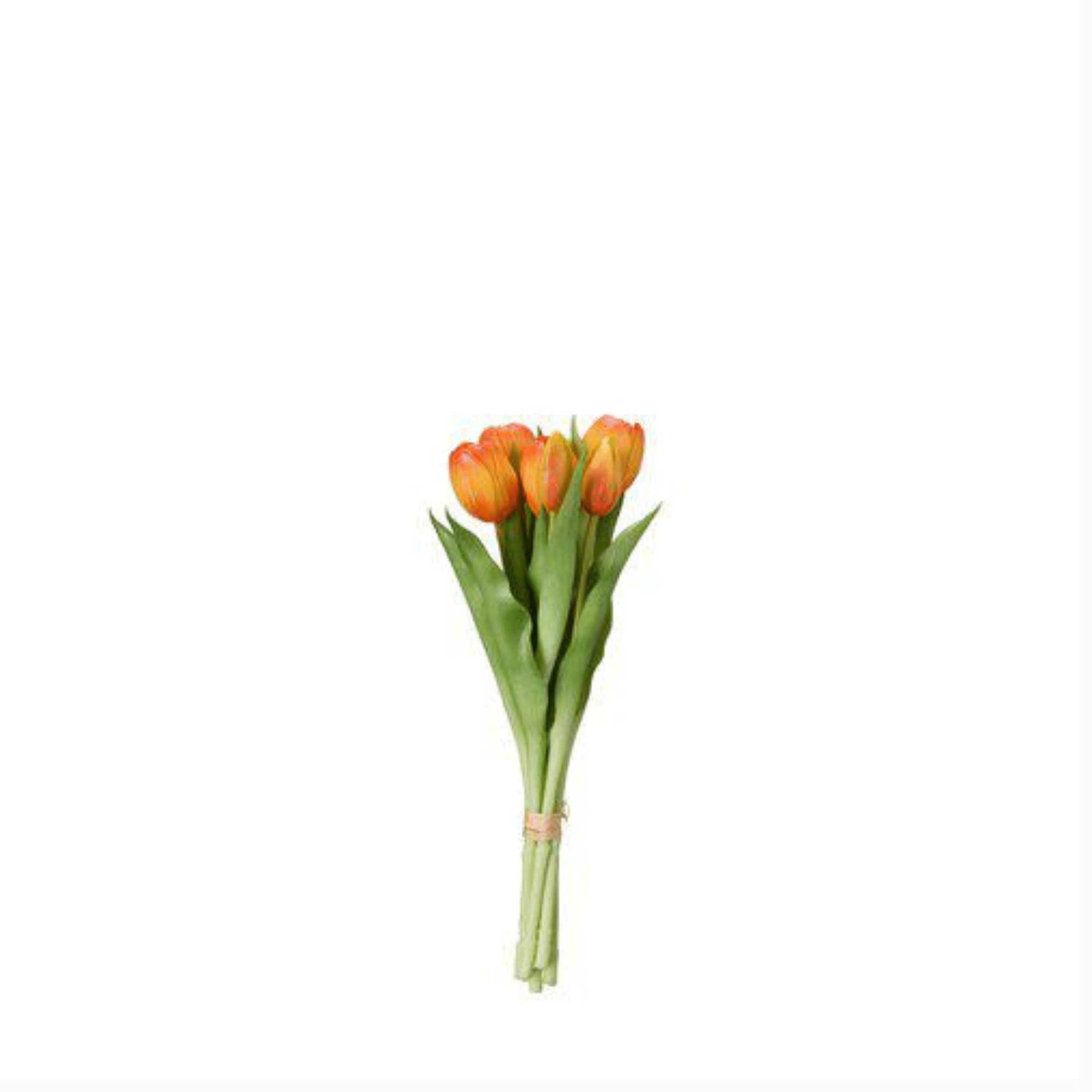 TULPANER Bunt 7-pack orange 31cm