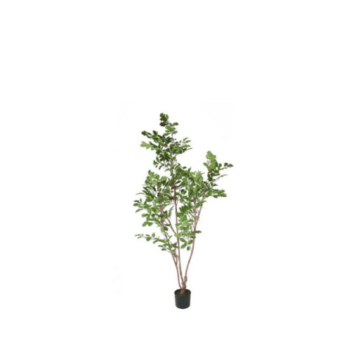 Konstgjord Ek 170cm i kruka