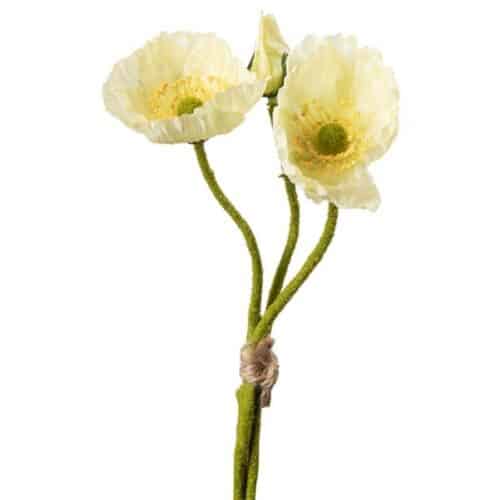 Vallmo bunt Gul 22cm